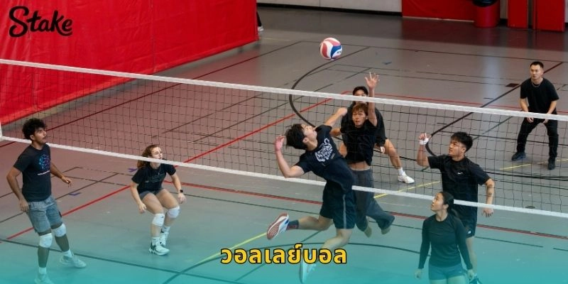 วอลเลย์บอล STAKE เดิมพันกีฬาในร่มยอดนิยมที่ตื่นเต้นทุกการแข่งขัน