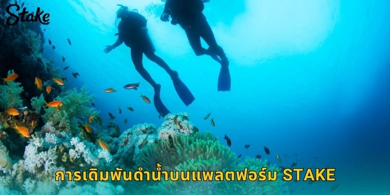 การเดิมพันดำน้ำบนแพลตฟอร์ม STAKE