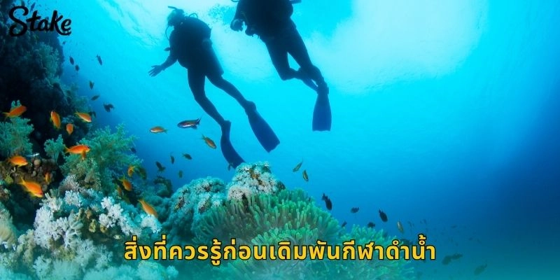 สิ่งที่ควรรู้ก่อนเดิมพันกีฬาดำน้ำ